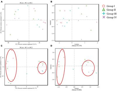 Effects of Dietary Bacillus and Non-starch Polysaccharase on the Intestinal Microbiota and the Associated Changes on the Growth Performance, Intestinal Morphology, and Serum Antioxidant Profiles in Ducks